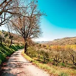 Assisi