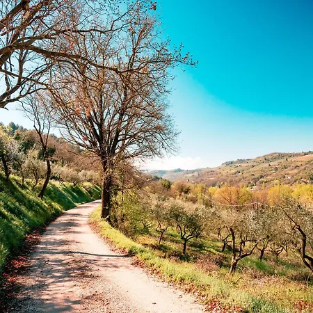 Assisi
