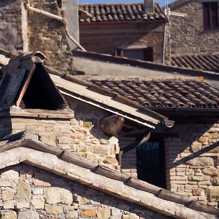 Albergue Assisi *