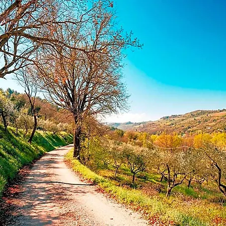Assisi * בוואניה